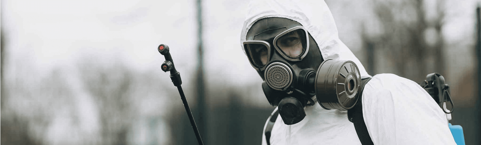 Dedetizadora em São Paulo